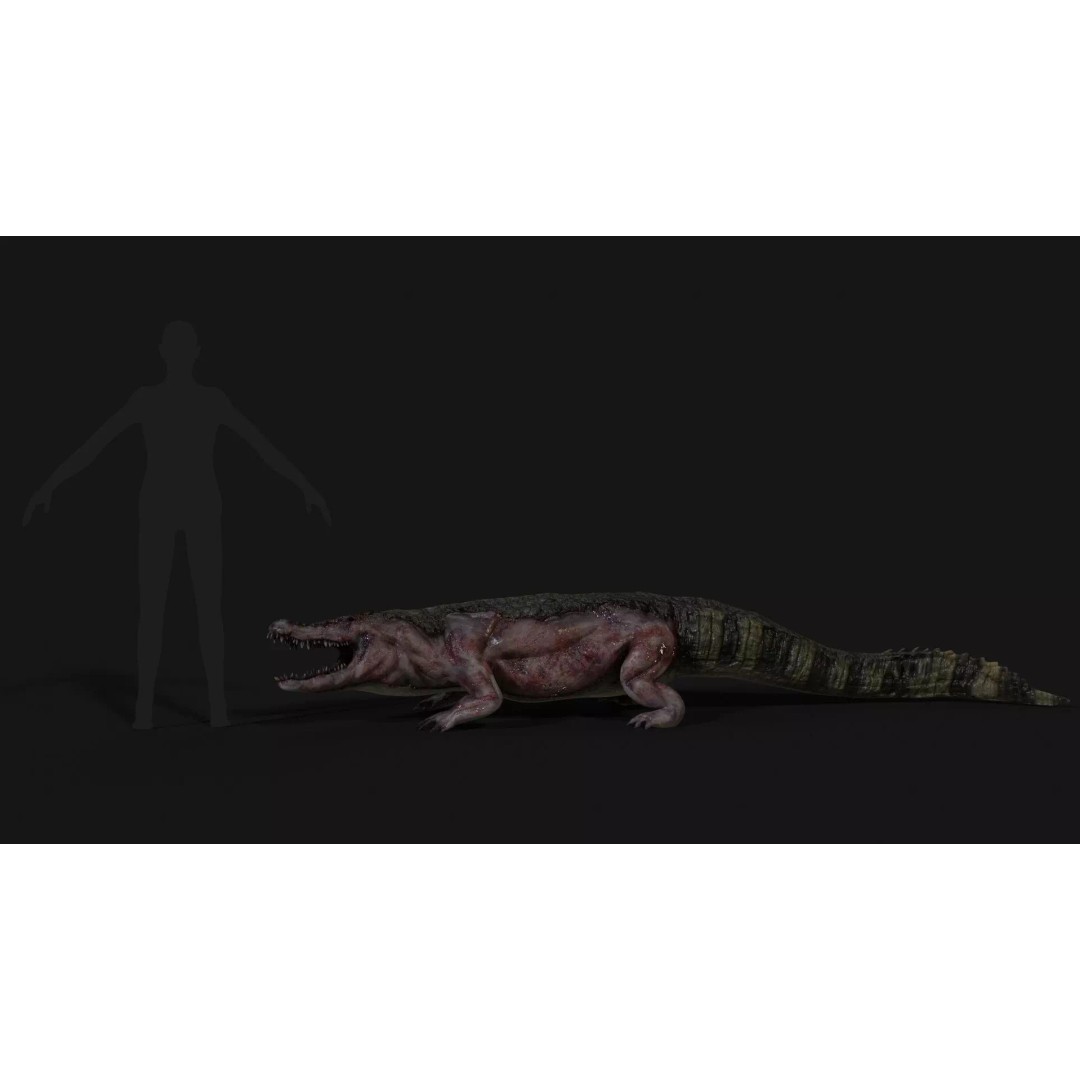 Crocodile 3D Model – Low Poly Zombie Creature, FBX, Unity, Unreal - View 25