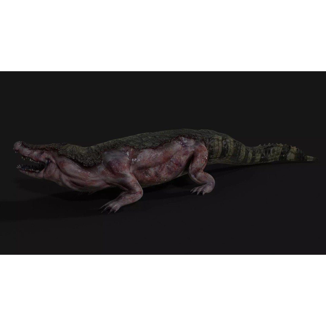 Crocodile 3D Model – Low Poly Zombie Creature, FBX, Unity, Unreal - View 4