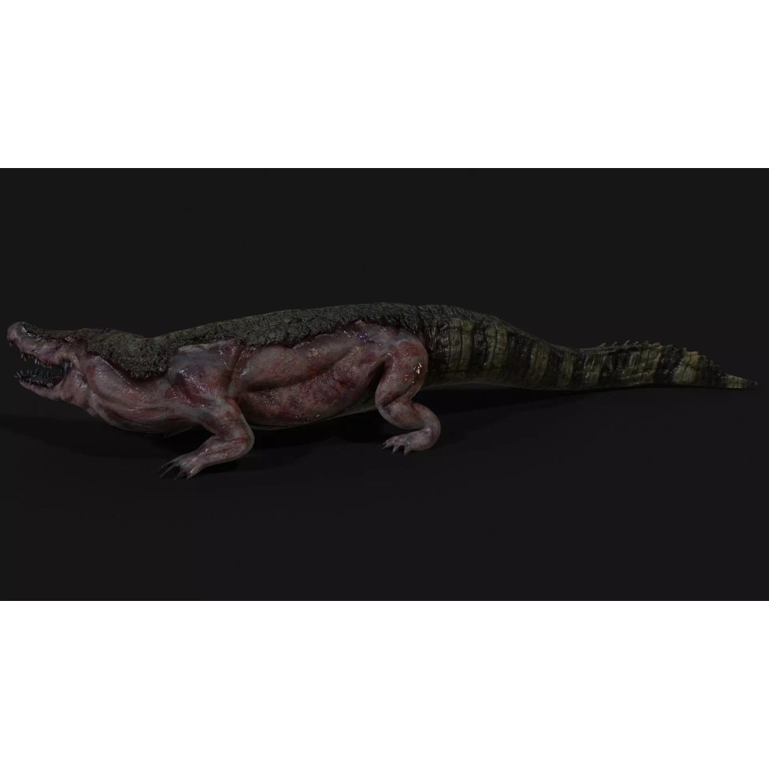 Crocodile 3D Model – Low Poly Zombie Creature, FBX, Unity, Unreal - View 5
