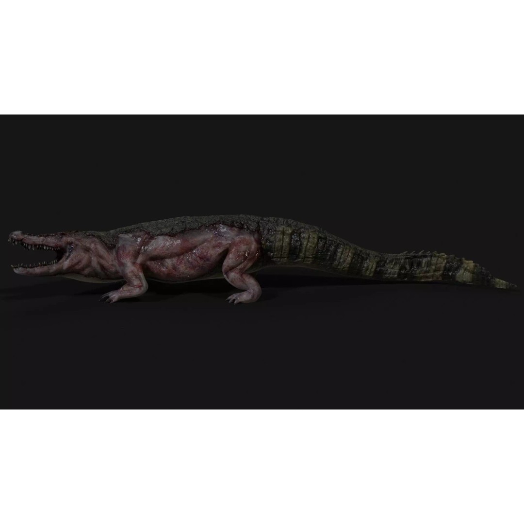 Crocodile 3D Model – Low Poly Zombie Creature, FBX, Unity, Unreal - View 6
