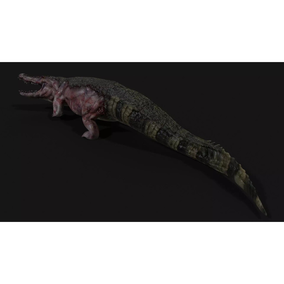 Crocodile 3D Model – Low Poly Zombie Creature, FBX, Unity, Unreal - View 8