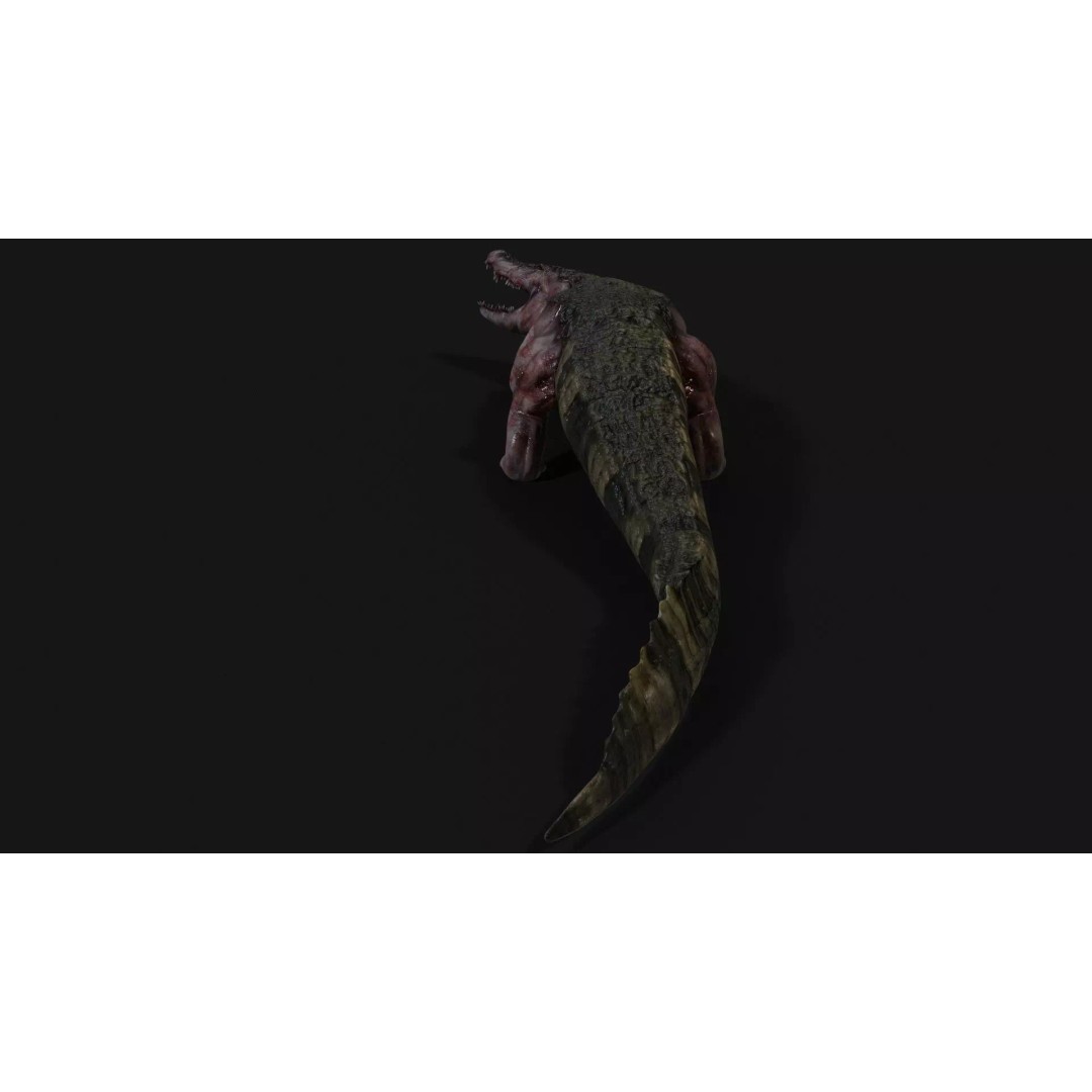 Crocodile 3D Model – Low Poly Zombie Creature, FBX, Unity, Unreal - View 9