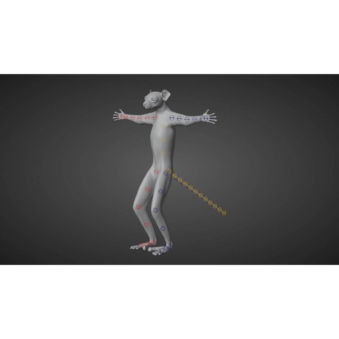 White Sifaka 3D Model – Rigged Animal Character with Animations - View 12