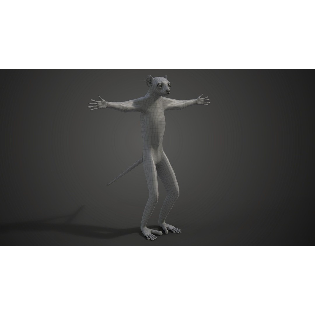 White Sifaka 3D Model – Rigged Animal Character with Animations - View 18