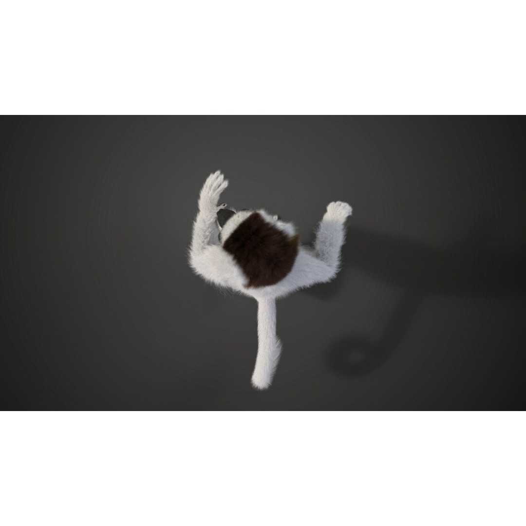 White Sifaka 3D Model – Rigged Animal Character with Animations - View 8