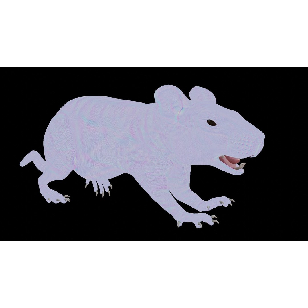 Rat 3D Model – Rigged VFX Asset with PBR Textures, FBX - View 12