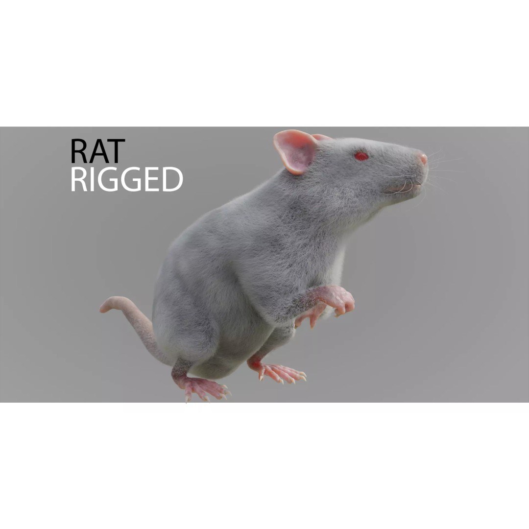 Rat 3D Model – Rigged VFX Asset with PBR Textures, FBX - View 2