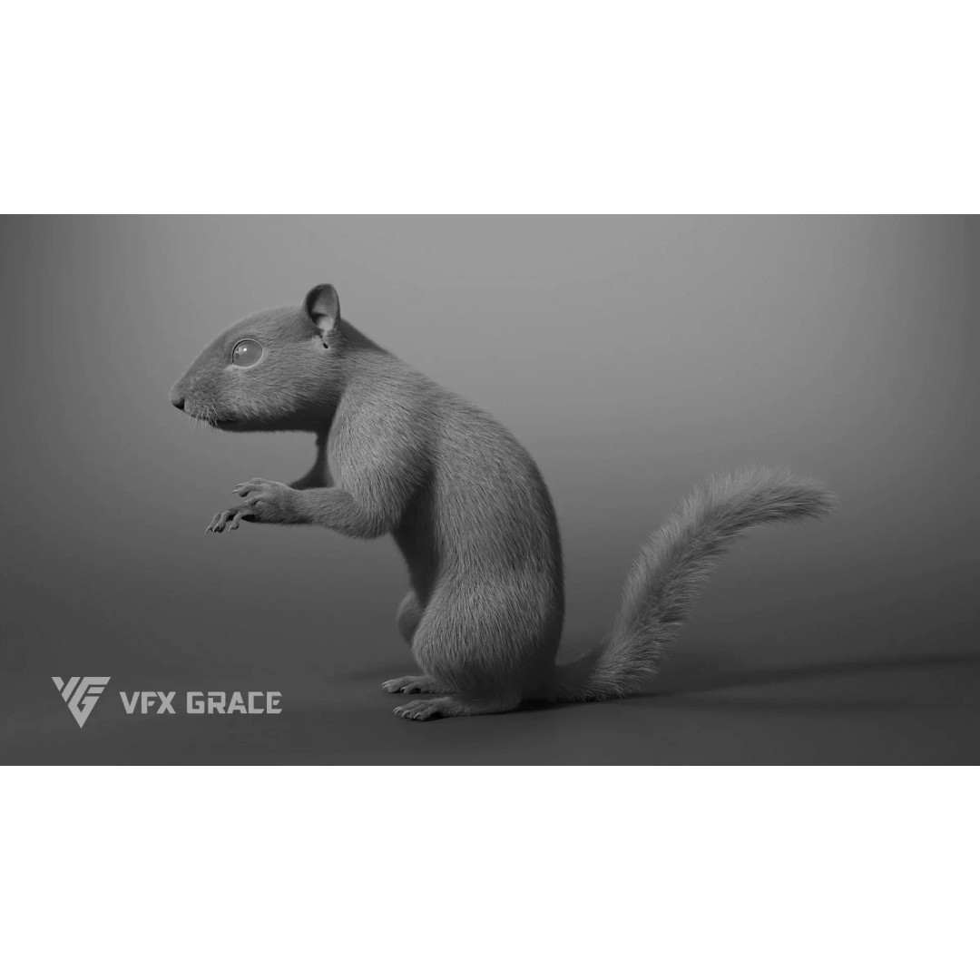 Chipmunk 3D Model – Rigged Character with Realistic Fur, Maya - View 10