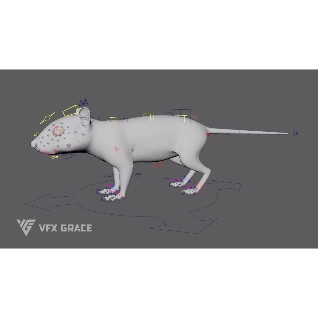 Chipmunk 3D Model – Rigged Character with Realistic Fur, Maya - View 12