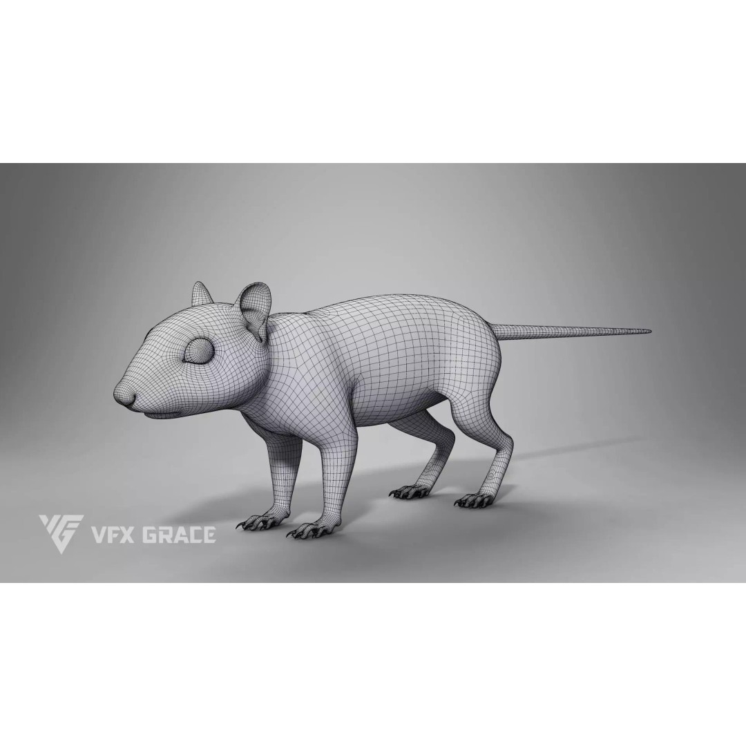 Chipmunk 3D Model – Rigged Character with Realistic Fur, Maya - View 14