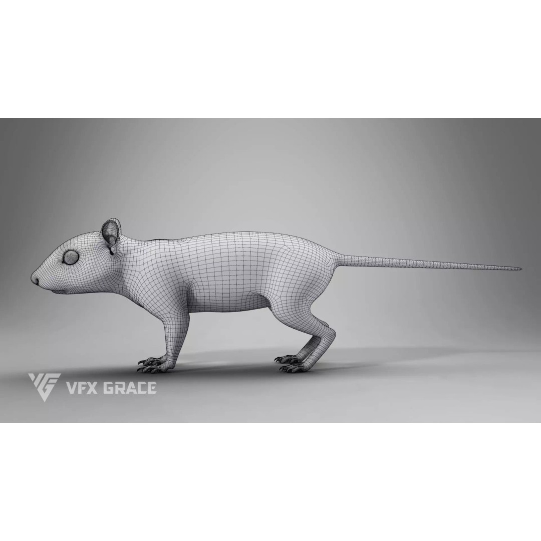 Chipmunk 3D Model – Rigged Character with Realistic Fur, Maya - View 15