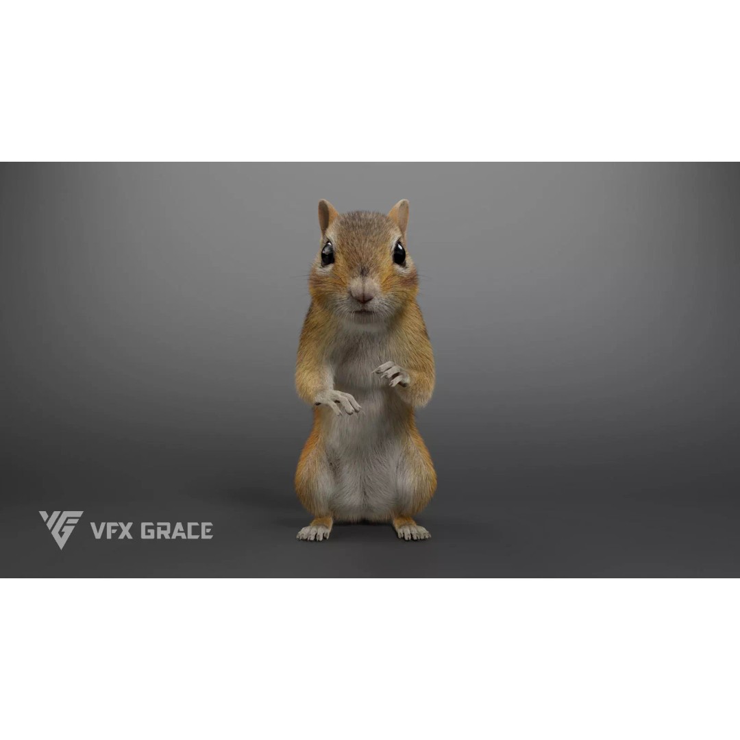 Chipmunk 3D Model – Rigged Character with Realistic Fur, Maya - View 5