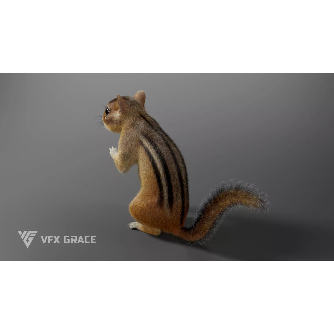 Chipmunk 3D Model – Rigged Character with Realistic Fur, Maya - View 6