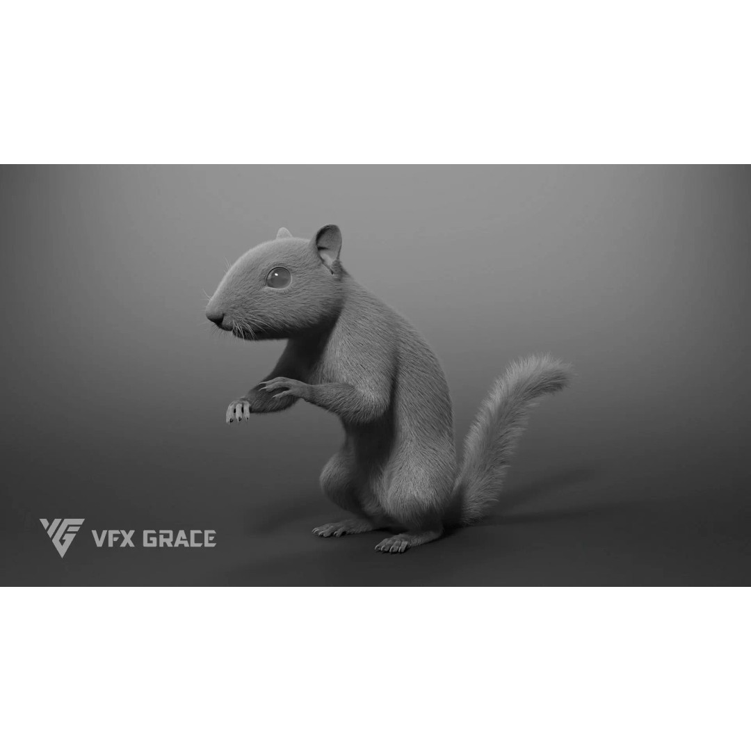 Chipmunk 3D Model – Rigged Character with Realistic Fur, Maya - View 9