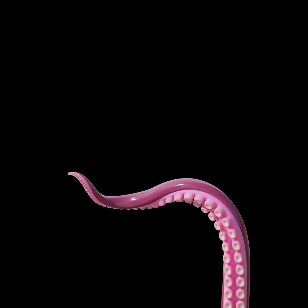 Tentacle 3D Model – Low Poly Rigged Animation Asset, Blender