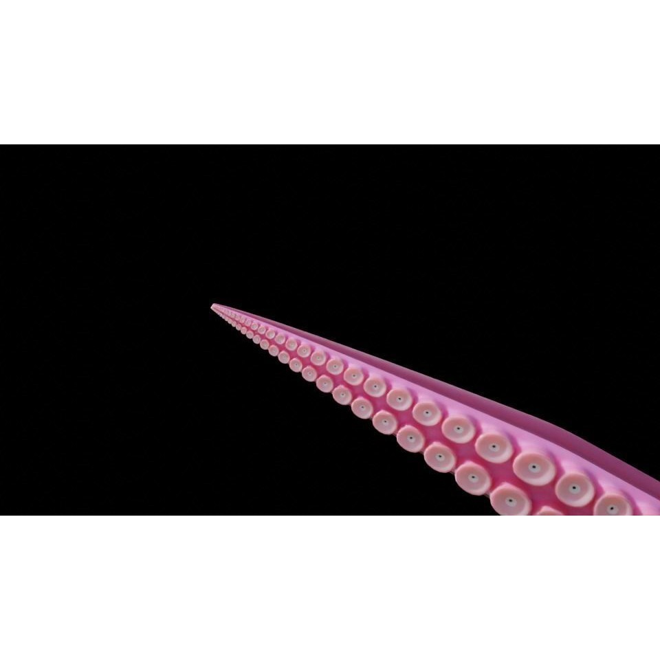 Tentacle 3D Model – Low Poly Rigged Animation Asset, Blender - View 11