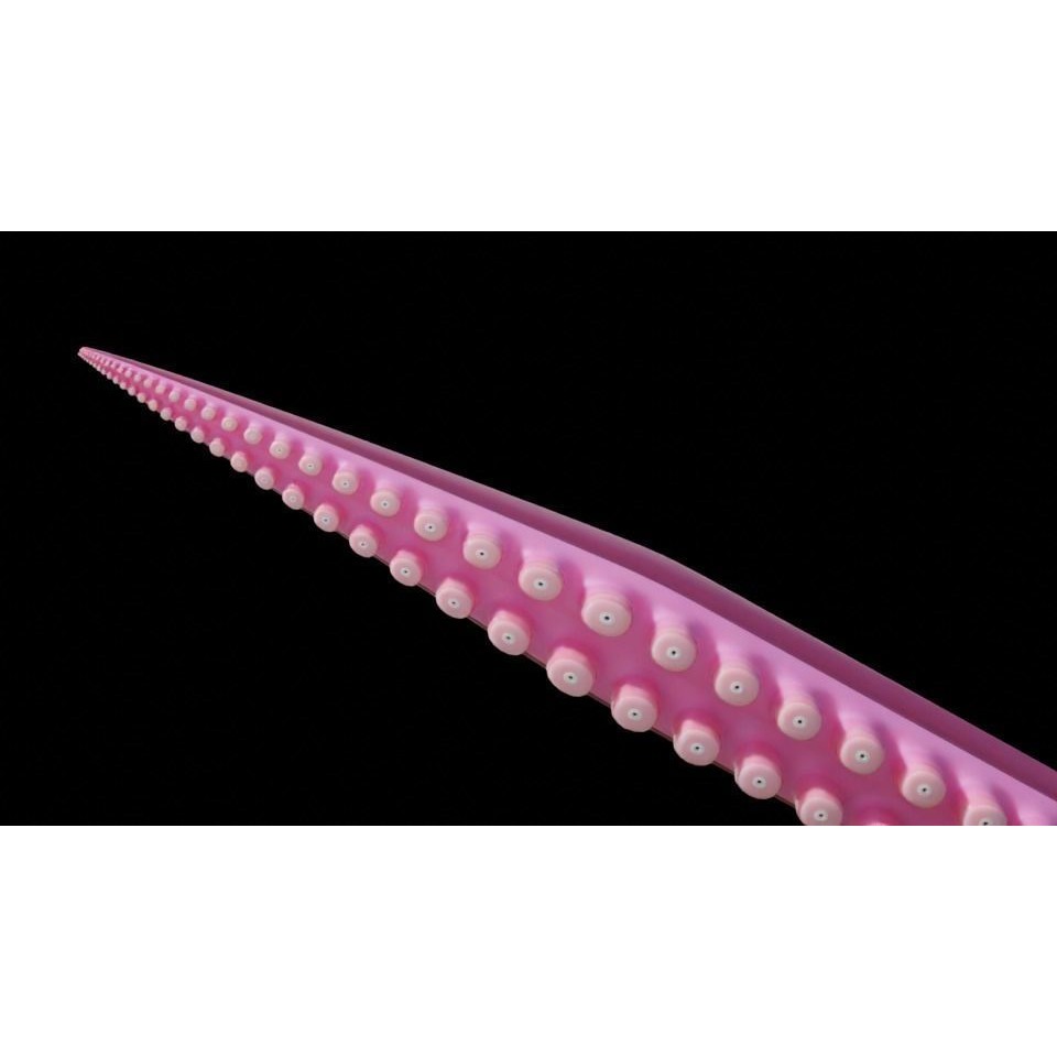 Tentacle 3D Model – Low Poly Rigged Animation Asset, Blender - View 12