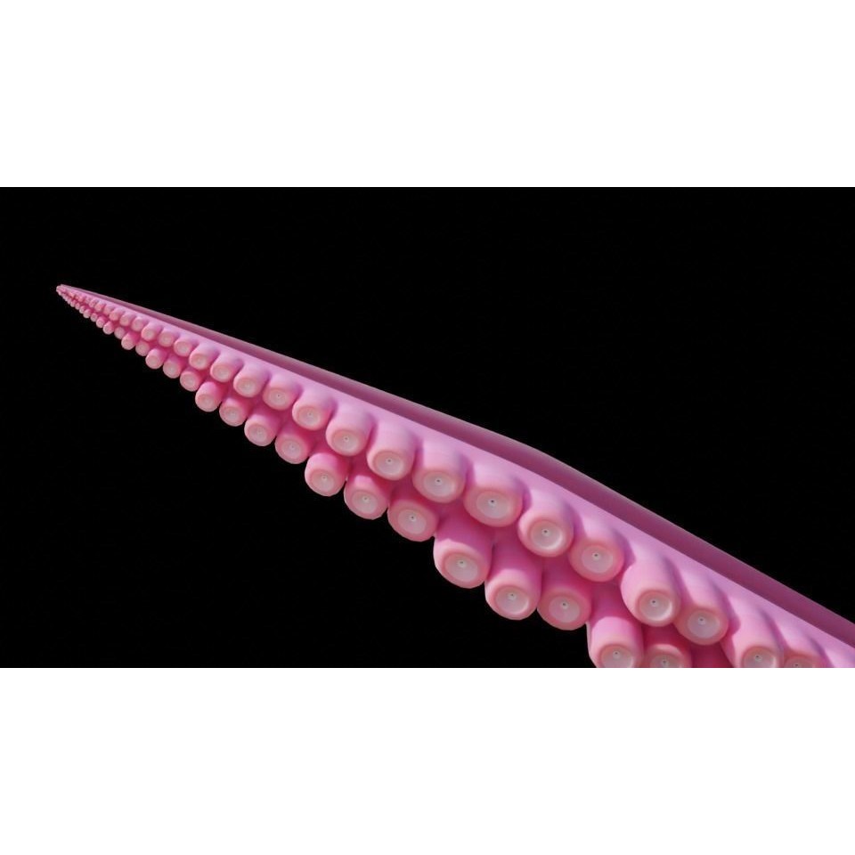 Tentacle 3D Model – Low Poly Rigged Animation Asset, Blender - View 13