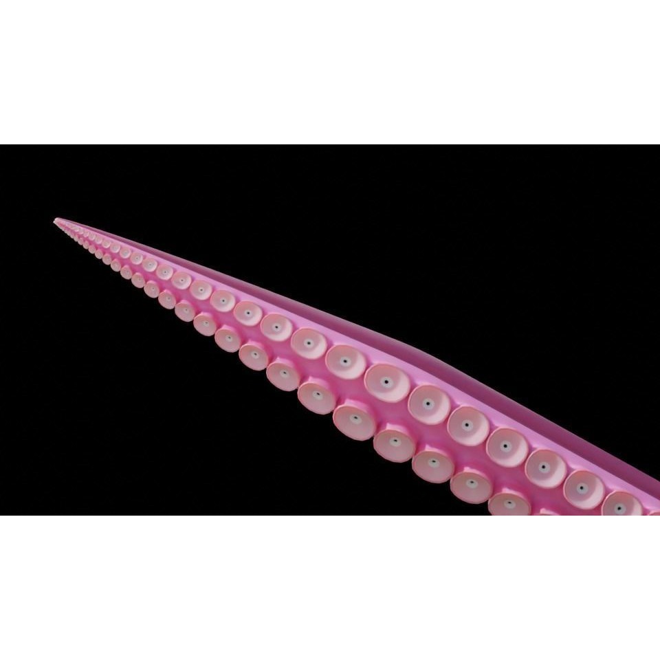 Tentacle 3D Model – Low Poly Rigged Animation Asset, Blender - View 14