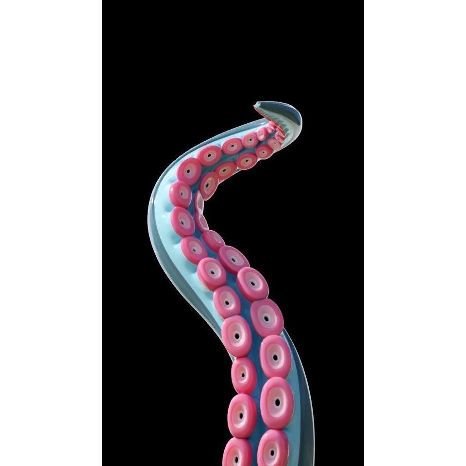 Tentacle 3D Model – Low Poly Rigged Animation Asset, Blender - View 9