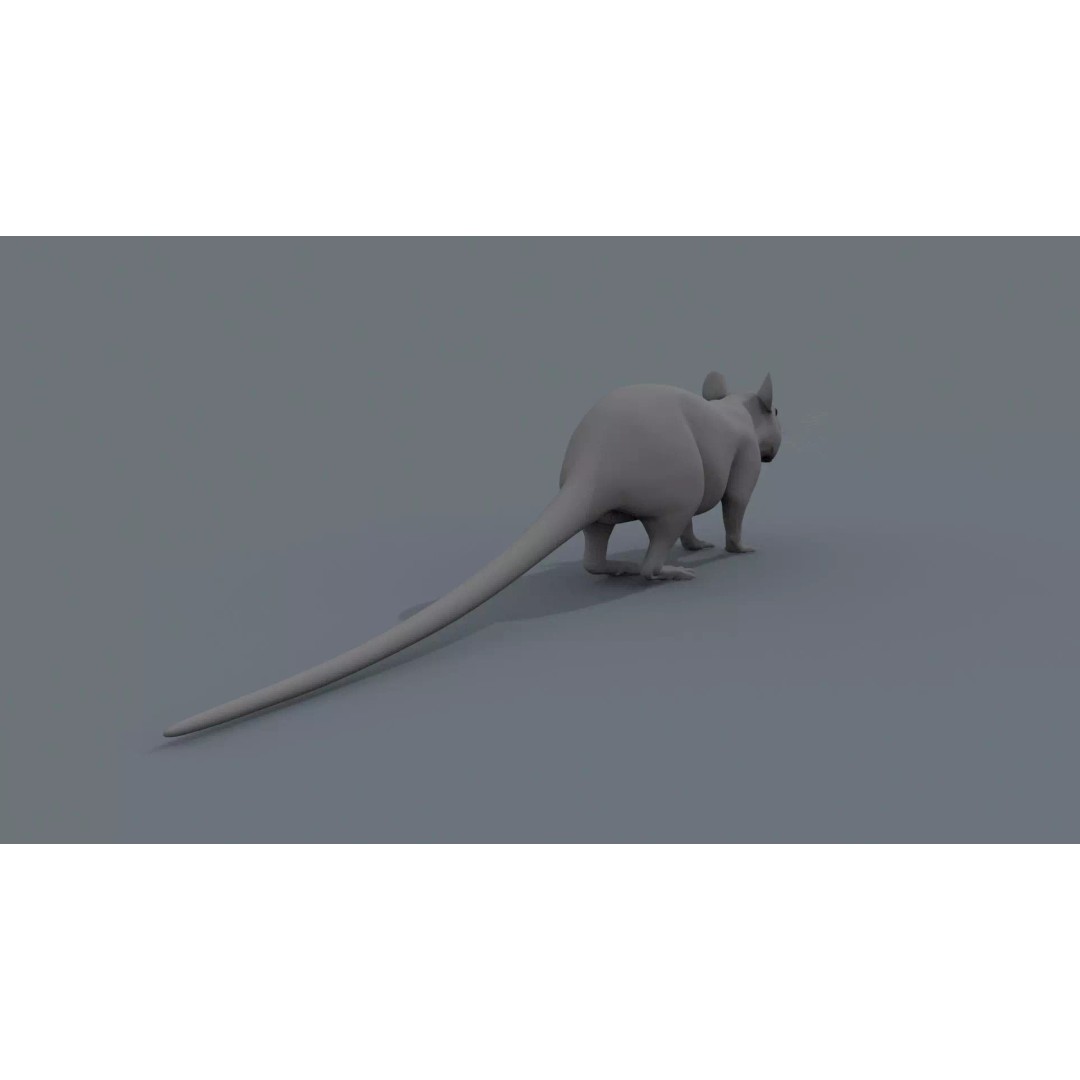 Realistic Rat 3D Model – Animated Creature with PBR Textures, FBX, OBJ - View 25