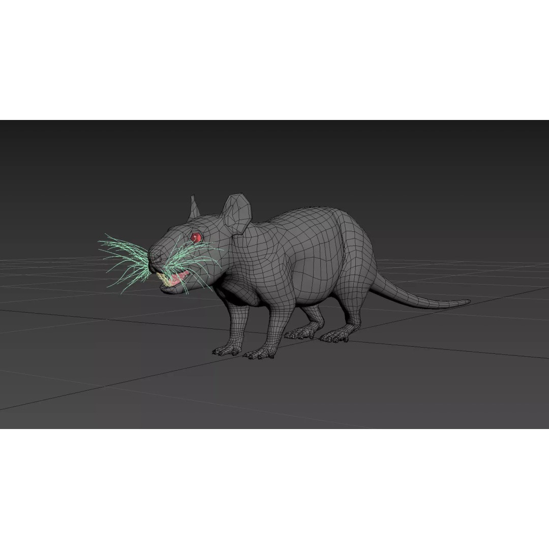 Realistic Rat 3D Model – Animated Creature with PBR Textures, FBX, OBJ - View 29