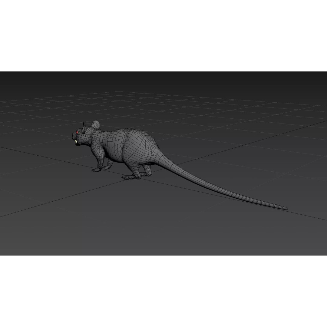 Realistic Rat 3D Model – Animated Creature with PBR Textures, FBX, OBJ - View 30