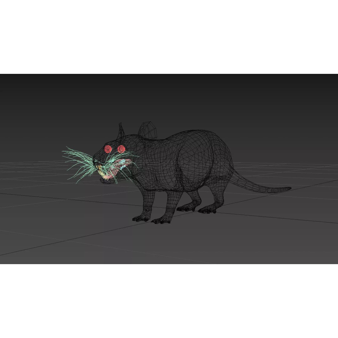 Realistic Rat 3D Model – Animated Creature with PBR Textures, FBX, OBJ - View 31