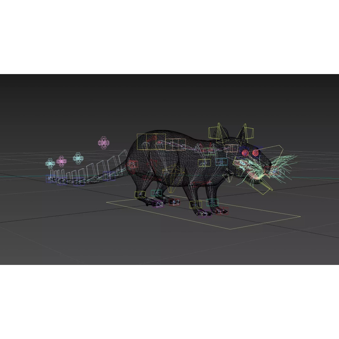 Realistic Rat 3D Model – Animated Creature with PBR Textures, FBX, OBJ - View 33
