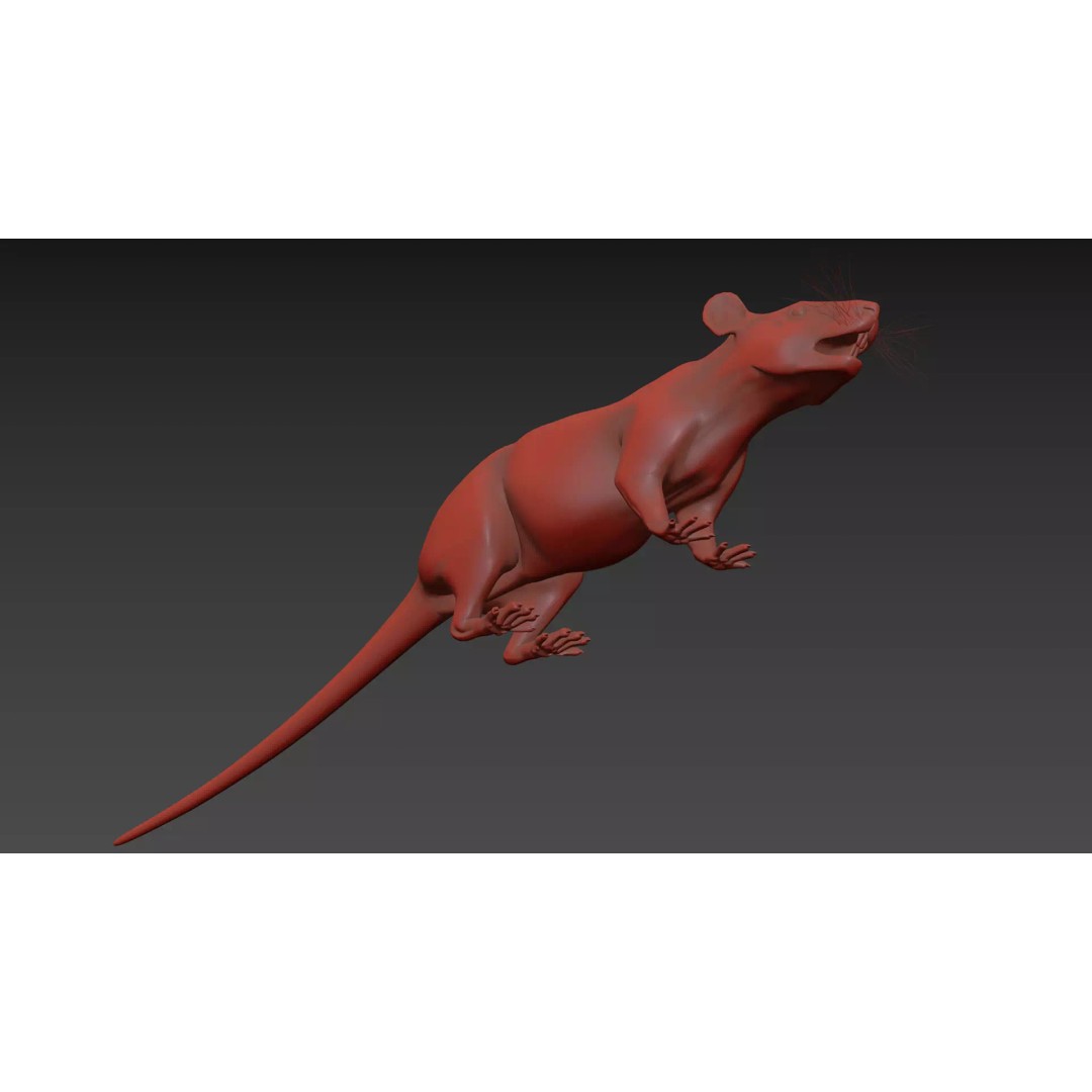 Realistic Rat 3D Model – Animated Creature with PBR Textures, FBX, OBJ - View 36