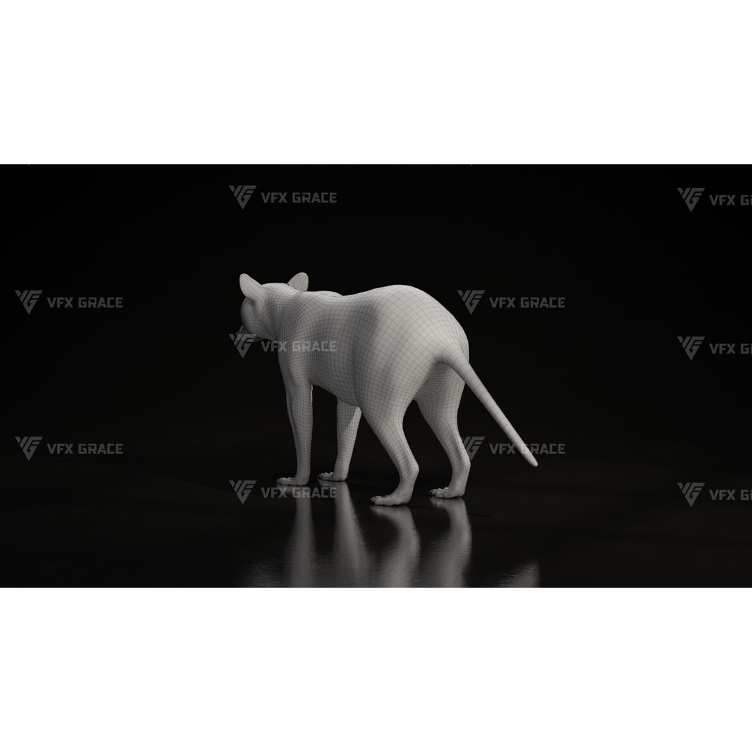 Raccoon 3D Model – Rigged, Animated Character for Blender
