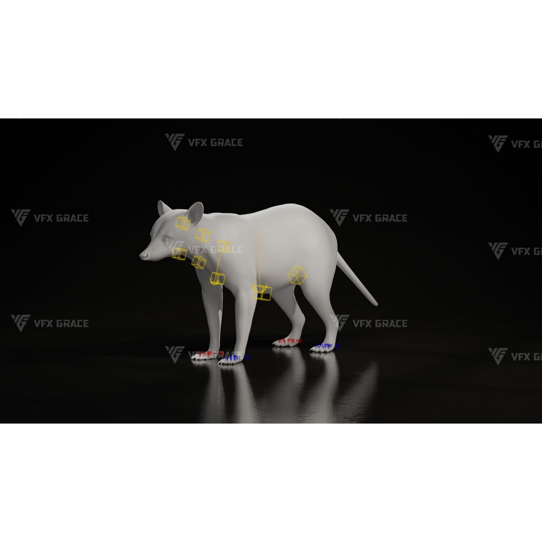 Raccoon 3D Model – Rigged, Animated Character for Blender - View 15