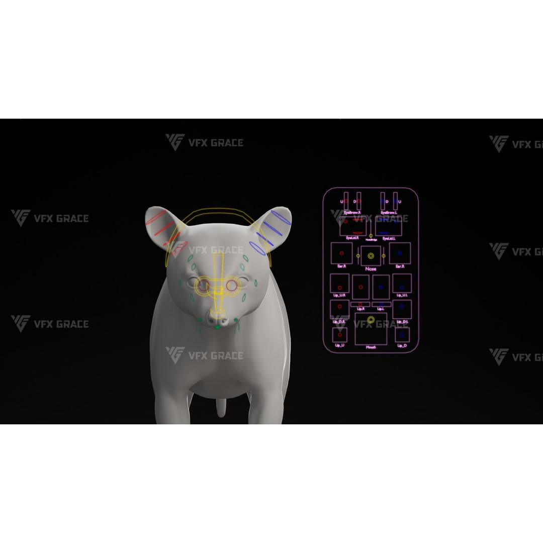 Raccoon 3D Model – Rigged, Animated Character for Blender - View 17