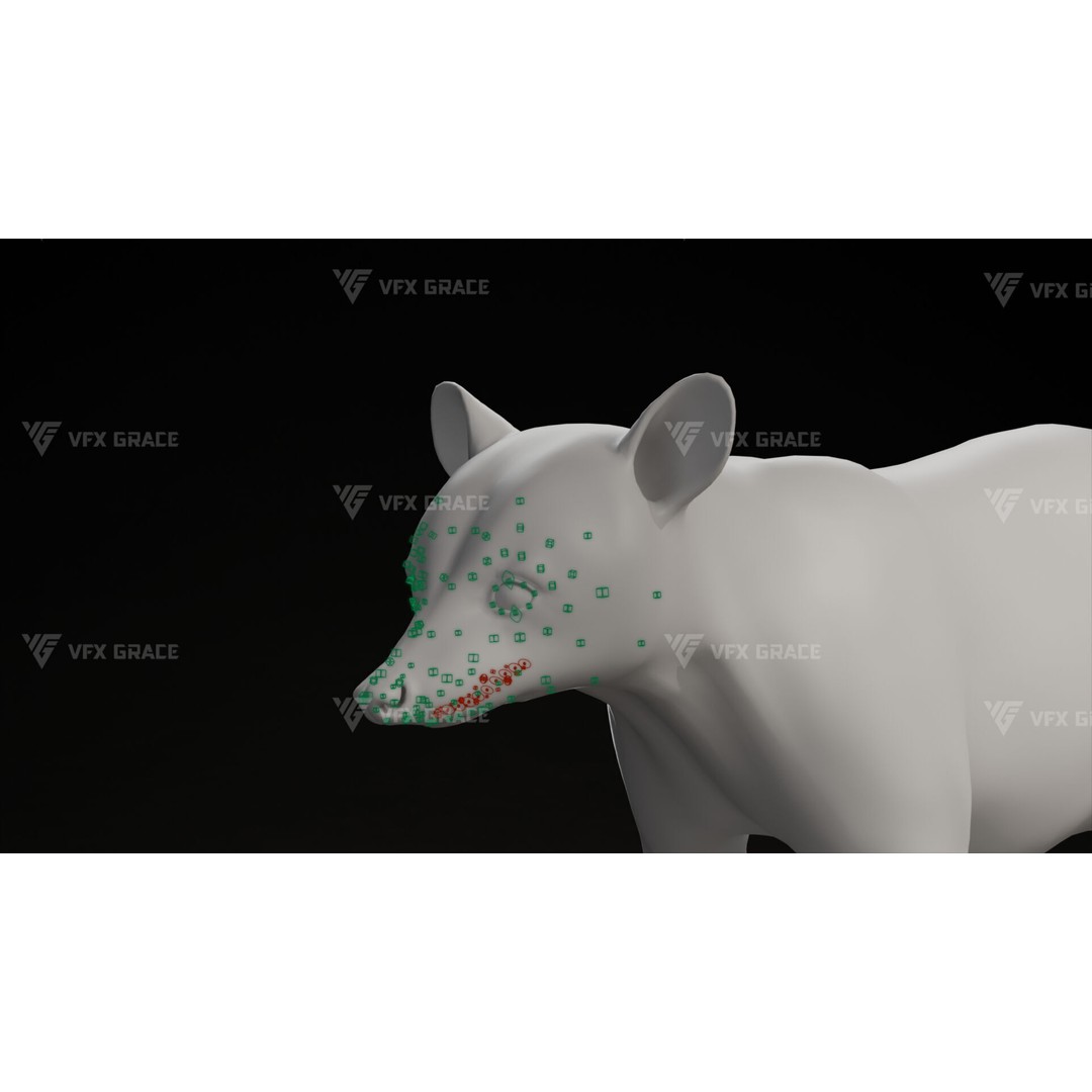 Raccoon 3D Model – Rigged, Animated Character for Blender - View 19