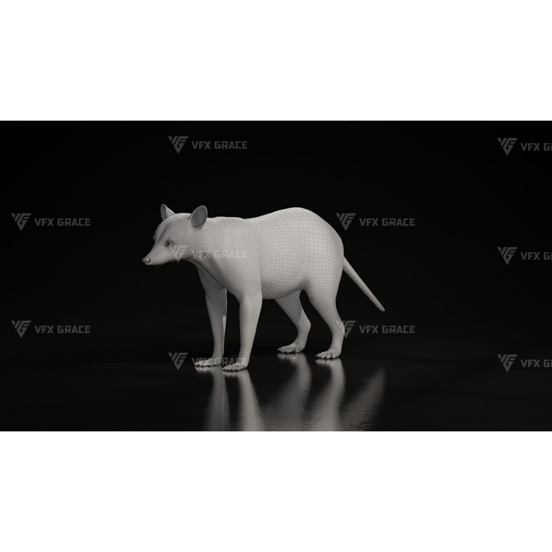 Raccoon 3D Model – Rigged, Animated Character for Blender - View 24