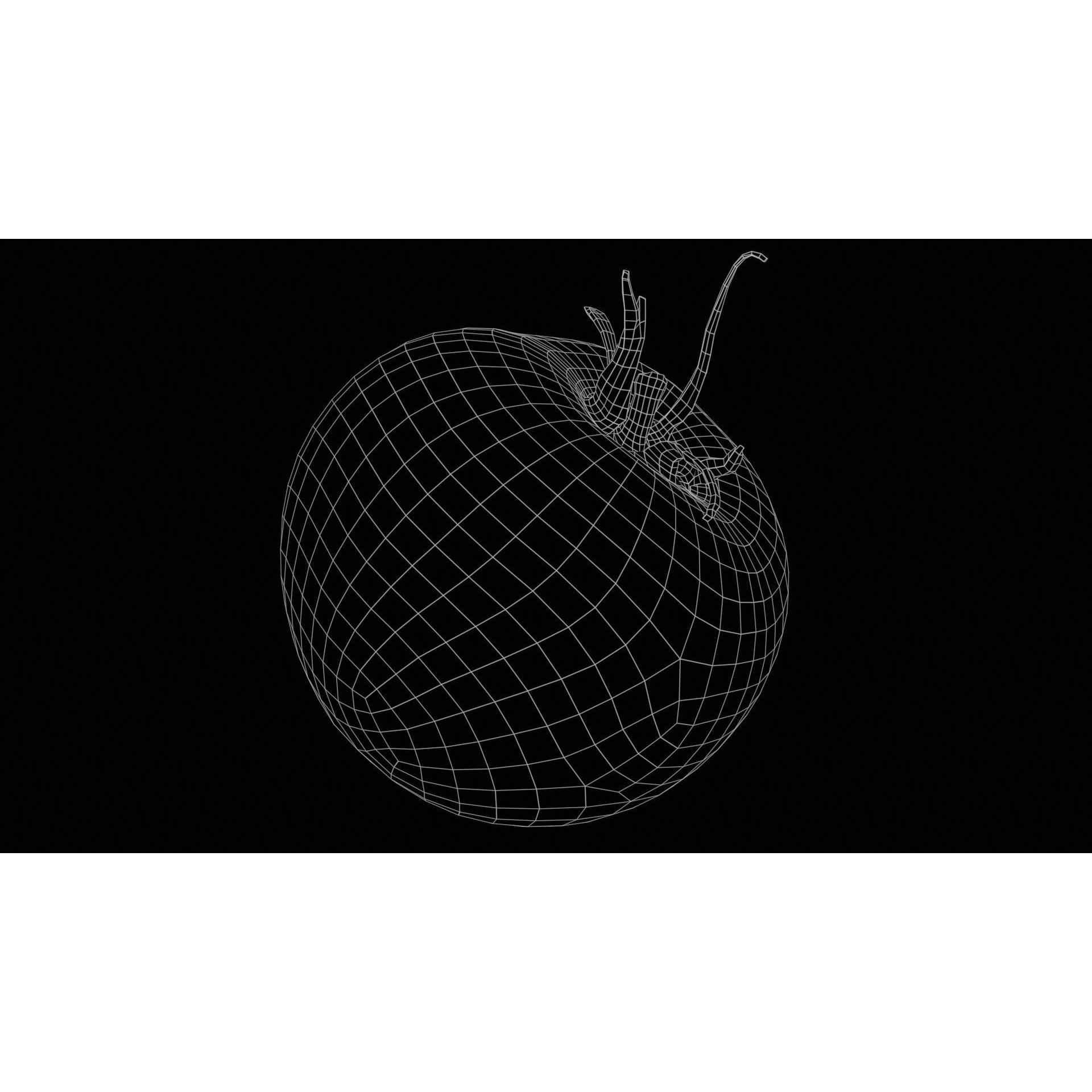 Tomato - Low-Poly Game-Ready 3D Model - View 13