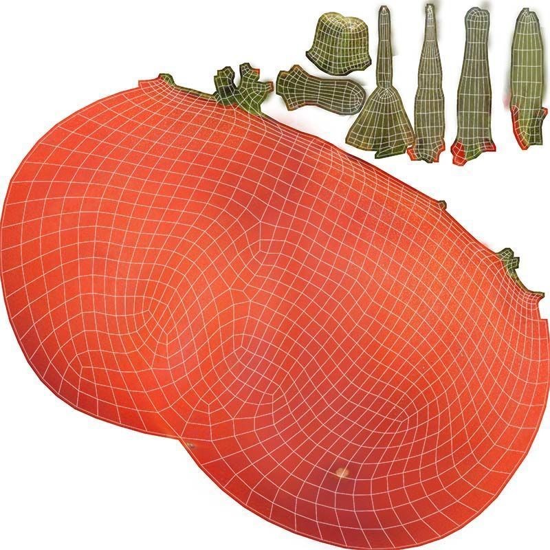 Tomato - Low-Poly Game-Ready 3D Model - View 16