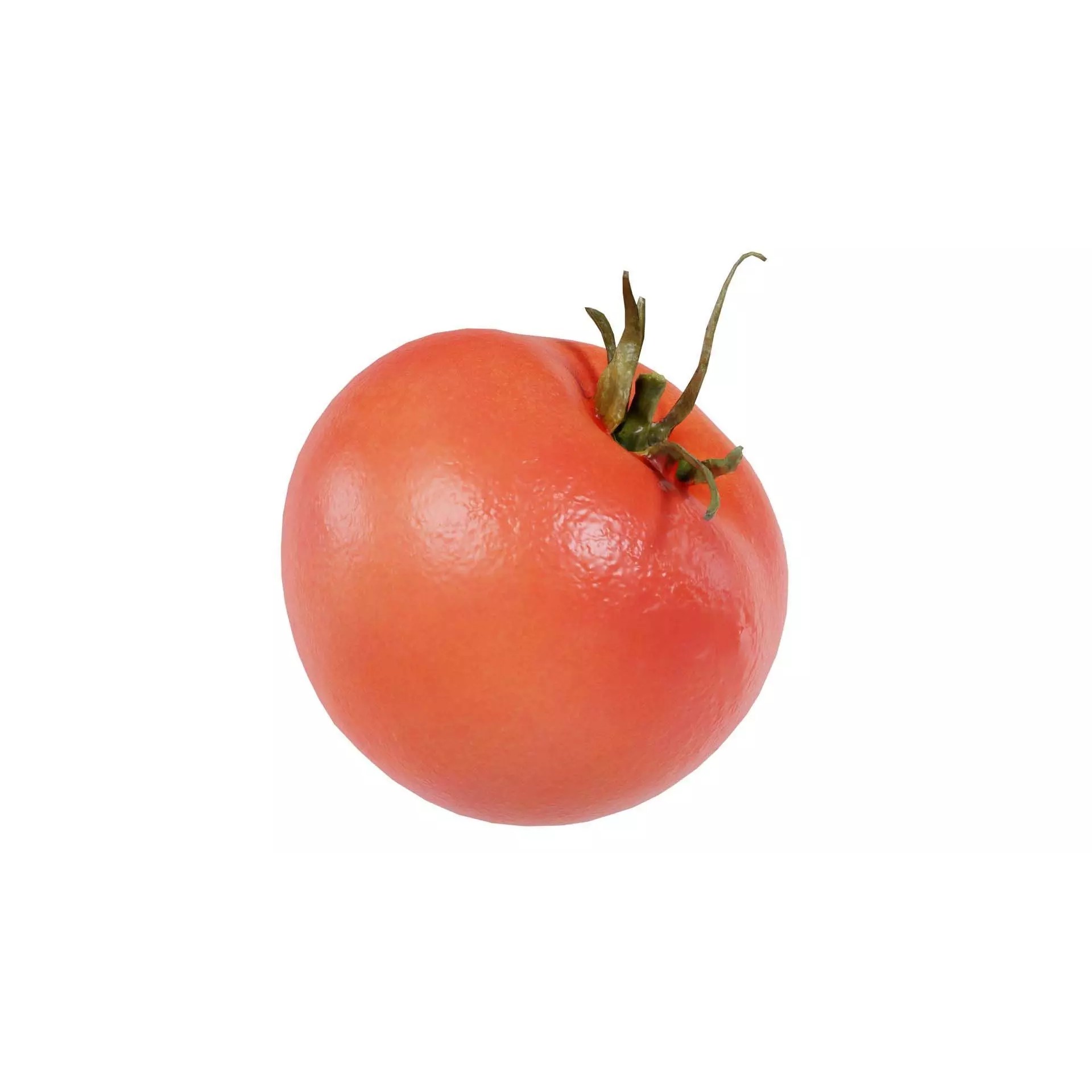 Tomato - Low-Poly Game-Ready 3D Model - View 2