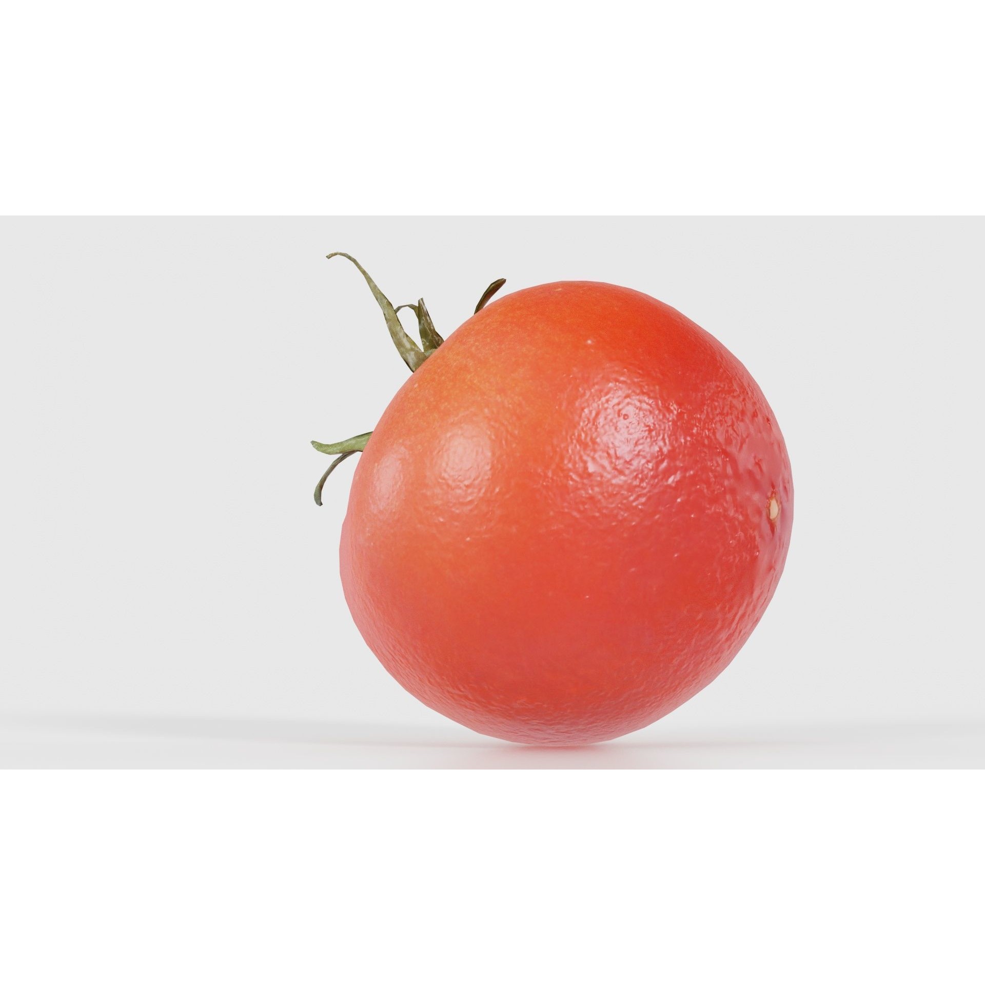 Tomato - Low-Poly Game-Ready 3D Model - View 24