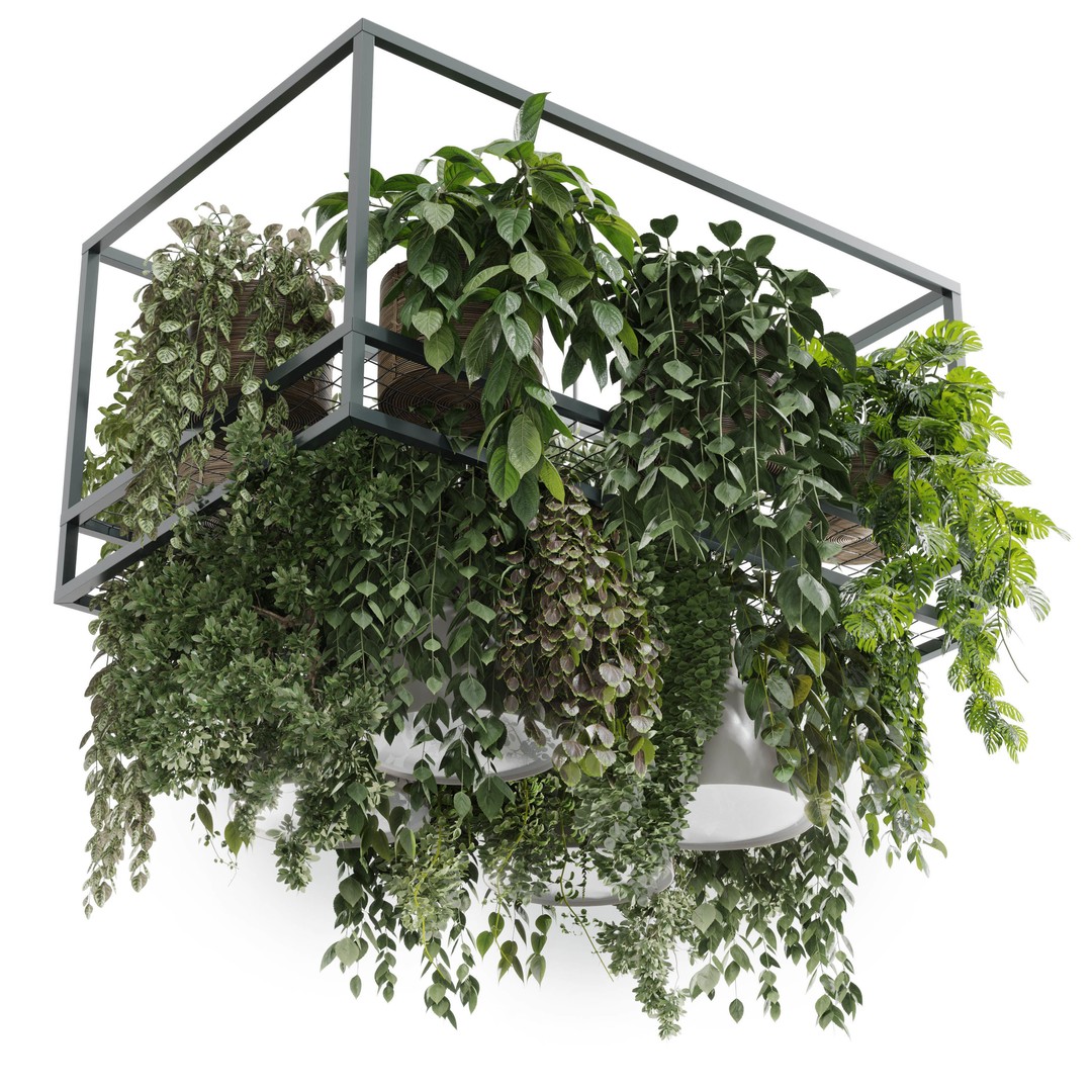 Rectangle Pot Light Pendant 3D Model – Low Poly Hanging Plant Light, FBX - View 3