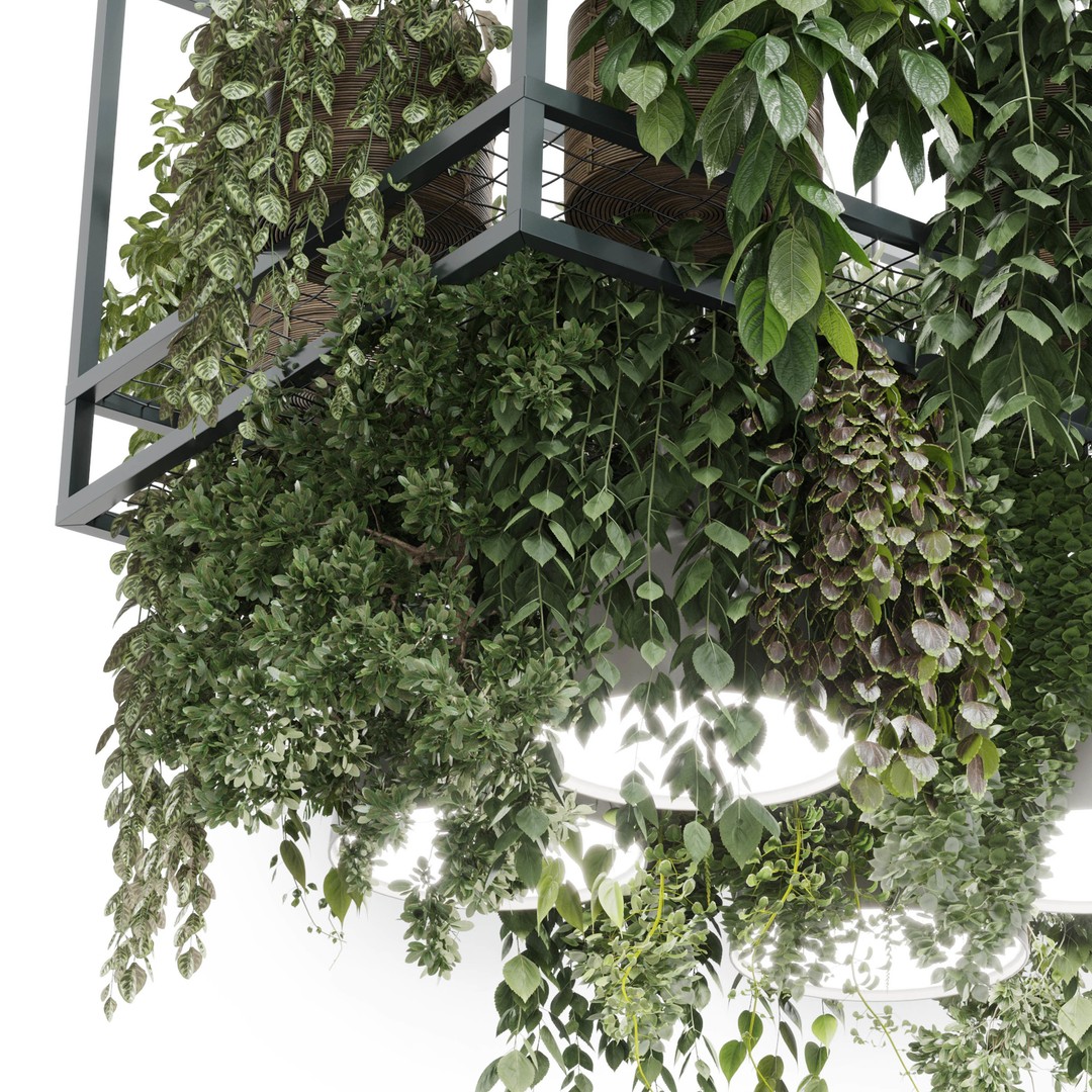 Rectangle Pot Light Pendant 3D Model – Low Poly Hanging Plant Light, FBX - View 4