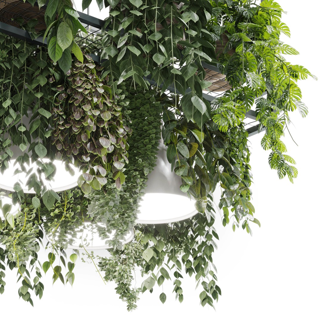 Rectangle Pot Light Pendant 3D Model – Low Poly Hanging Plant Light, FBX - View 5