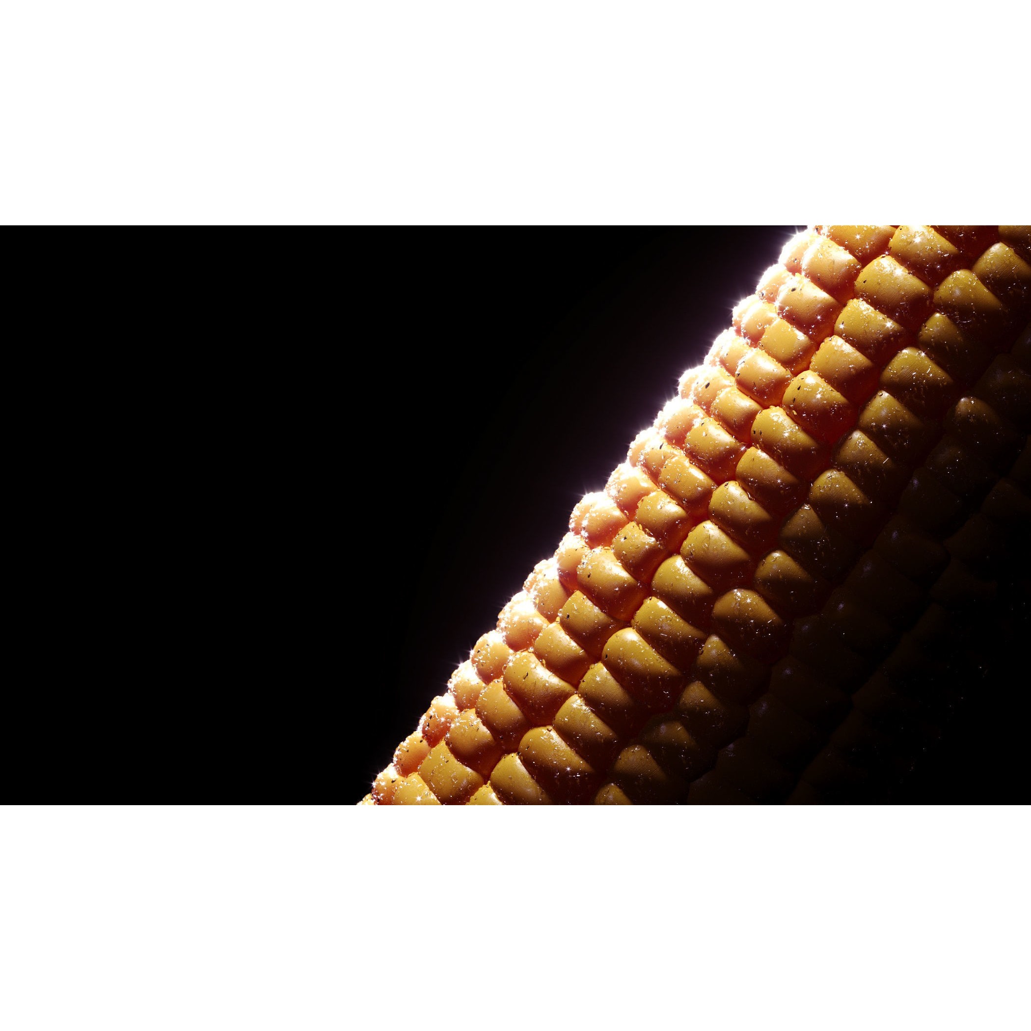 Photorealistic Corn - Game-Ready 3D Model - View 15