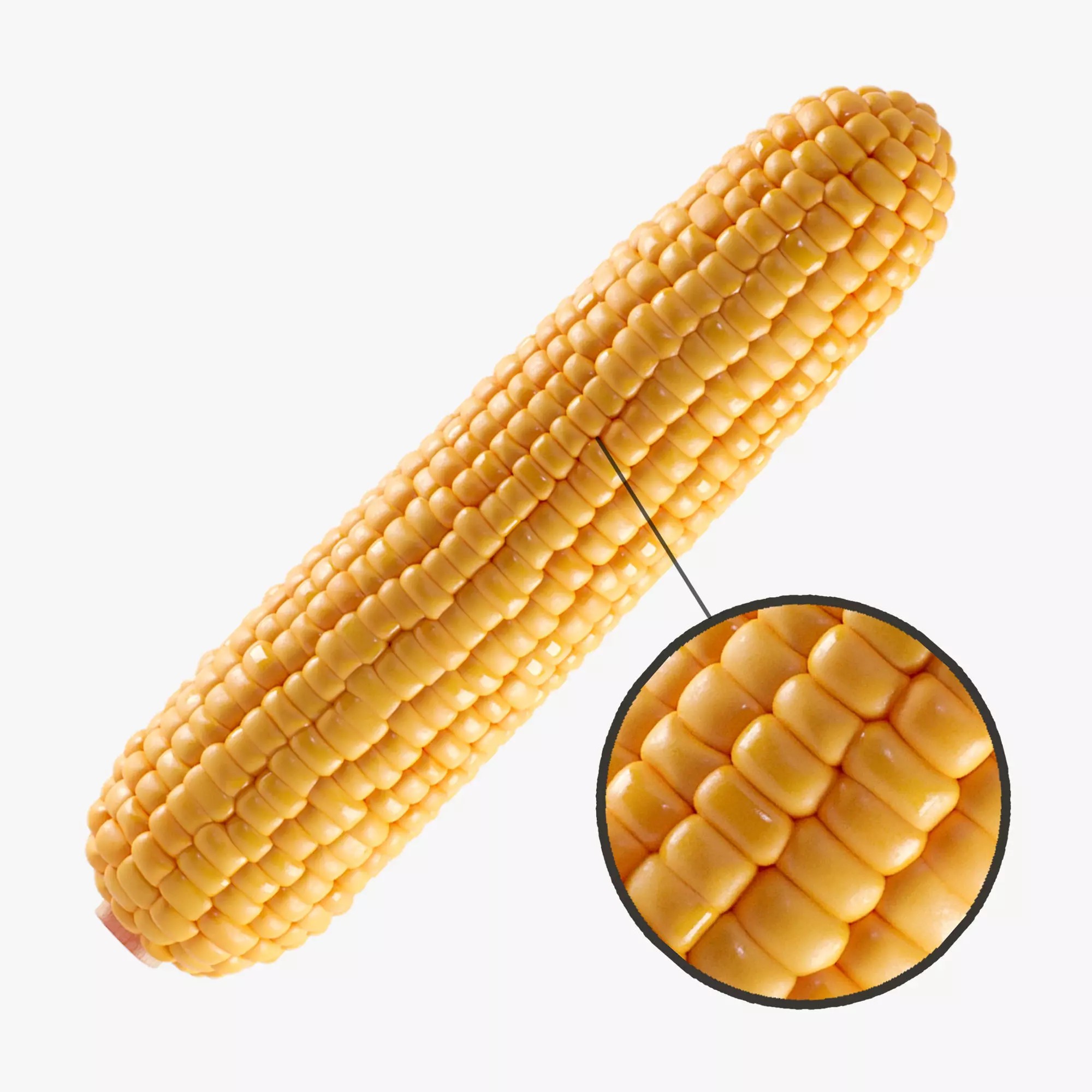 Photorealistic Corn - Game-Ready 3D Model - View 2