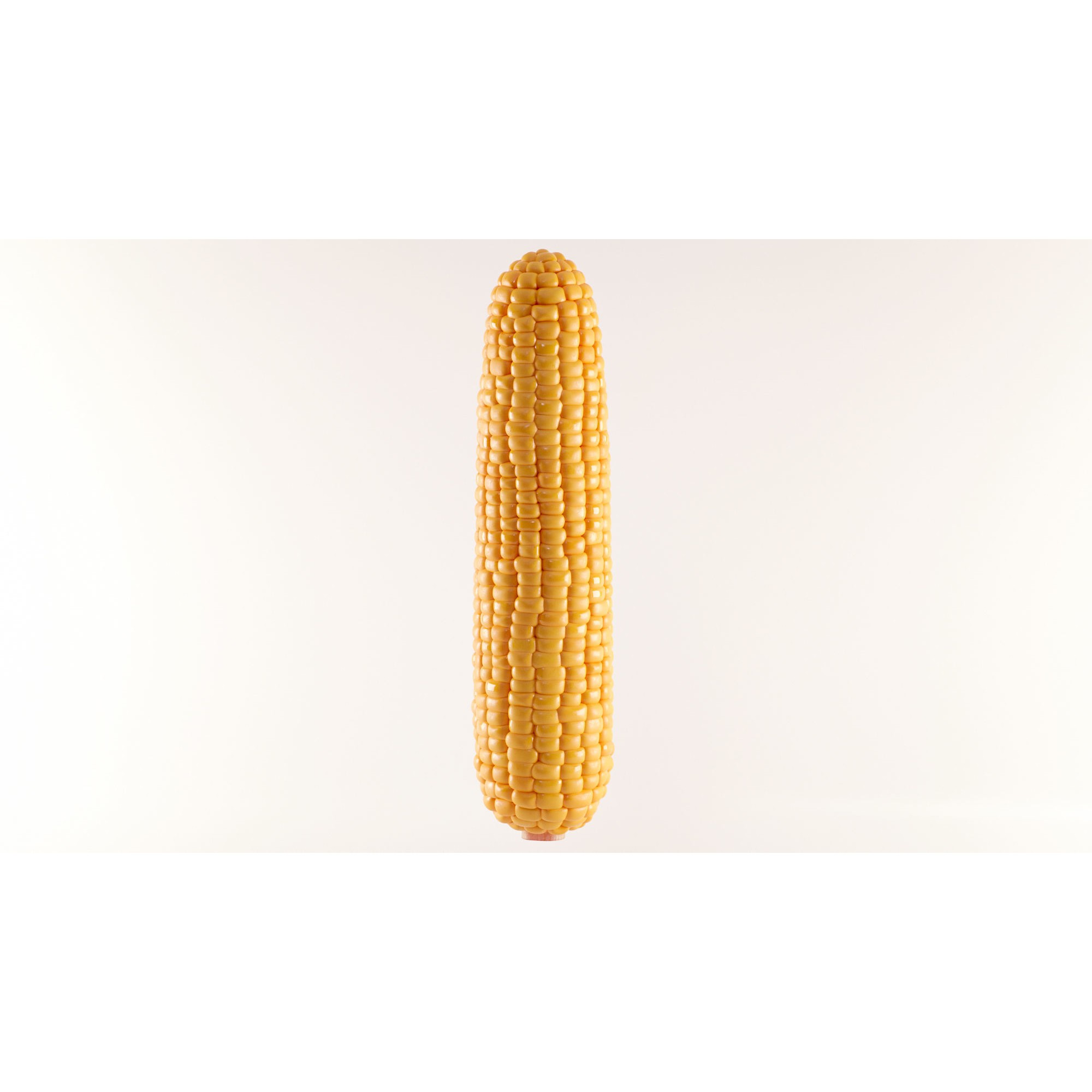 Photorealistic Corn - Game-Ready 3D Model - View 3