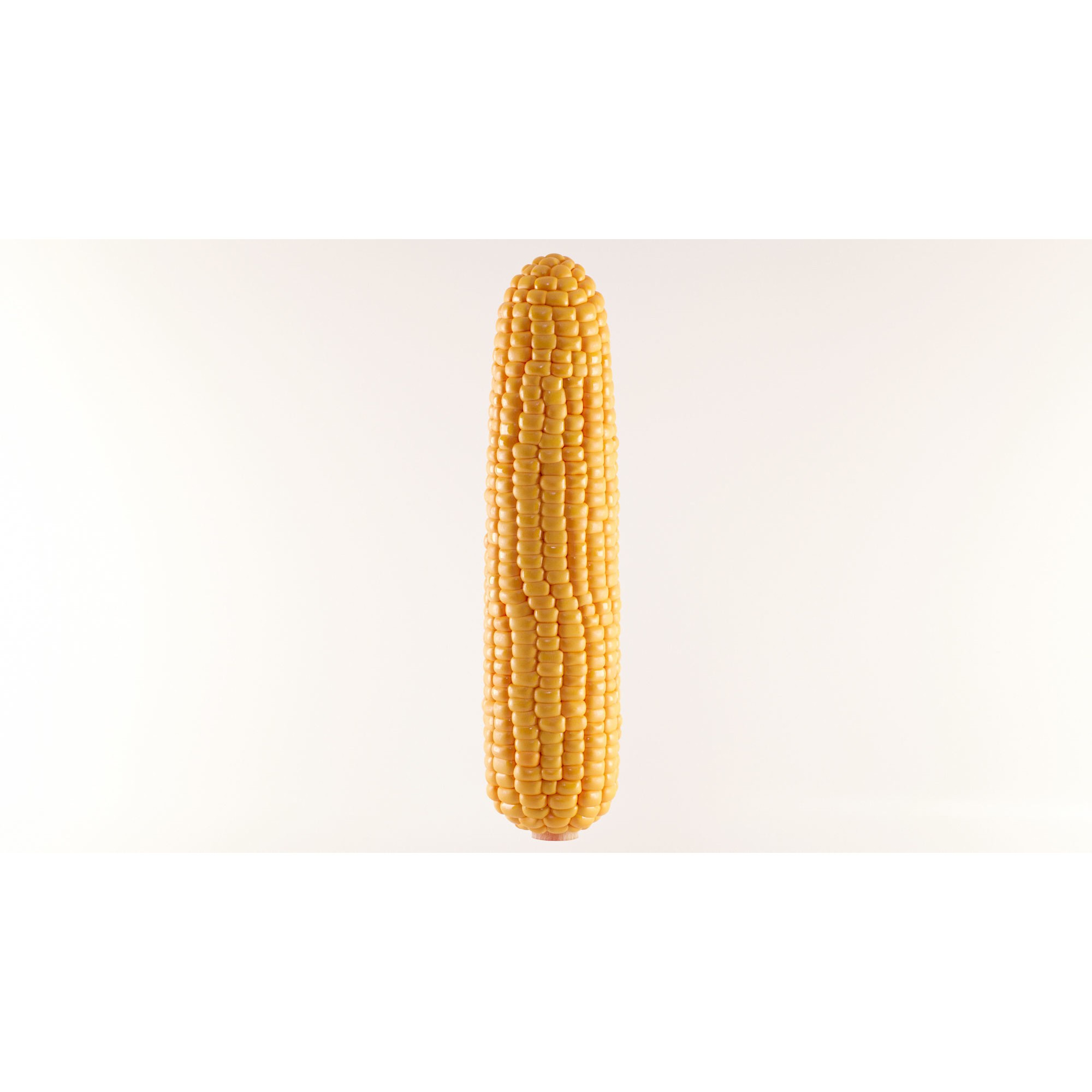 Photorealistic Corn - Game-Ready 3D Model - View 4