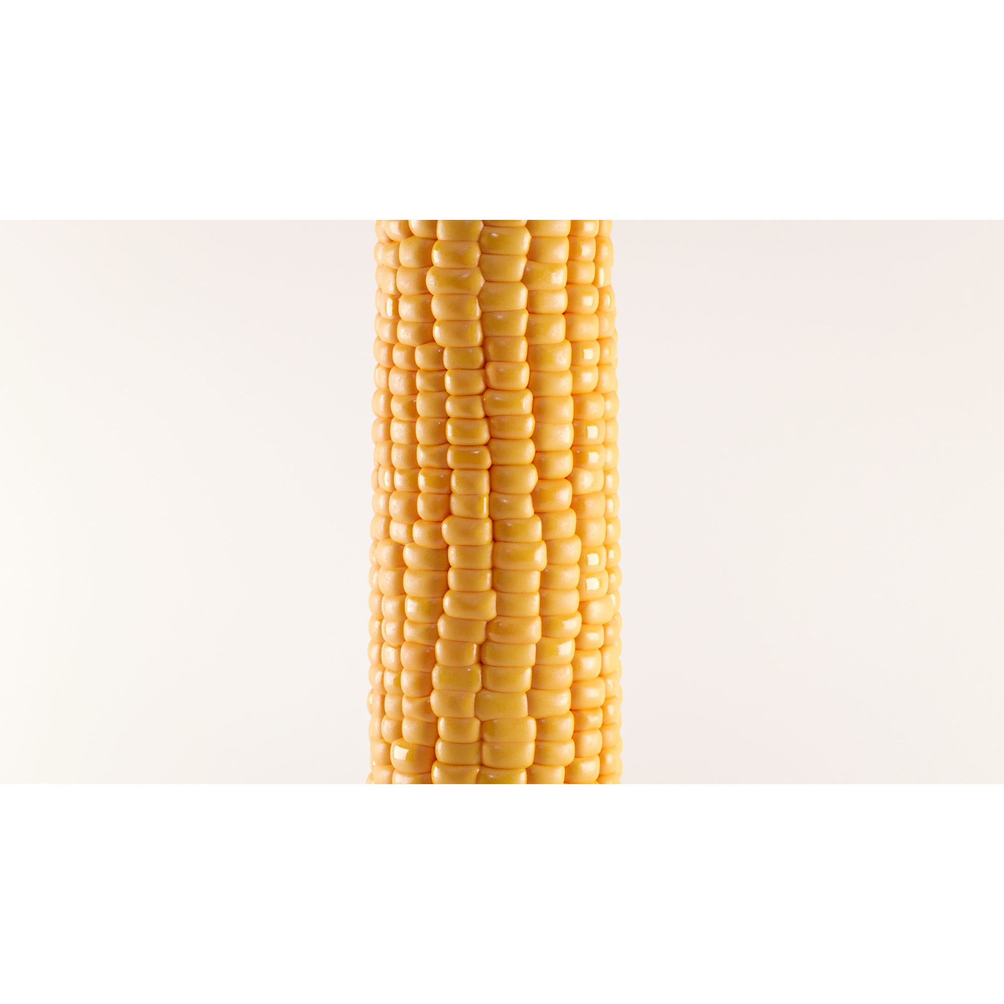 Photorealistic Corn - Game-Ready 3D Model - View 5