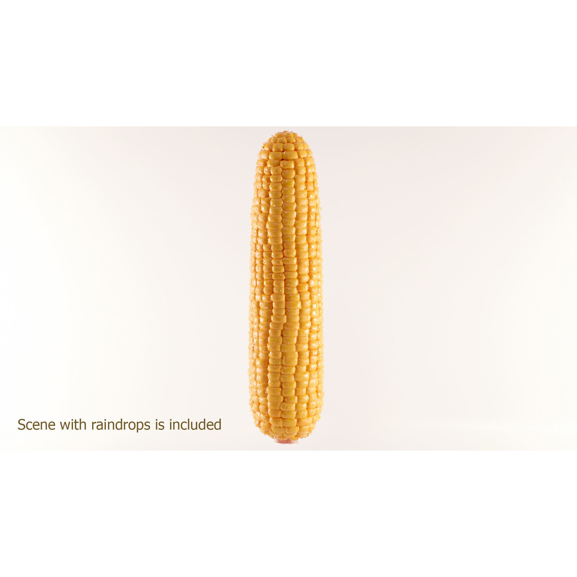 Photorealistic Corn - Game-Ready 3D Model - View 6