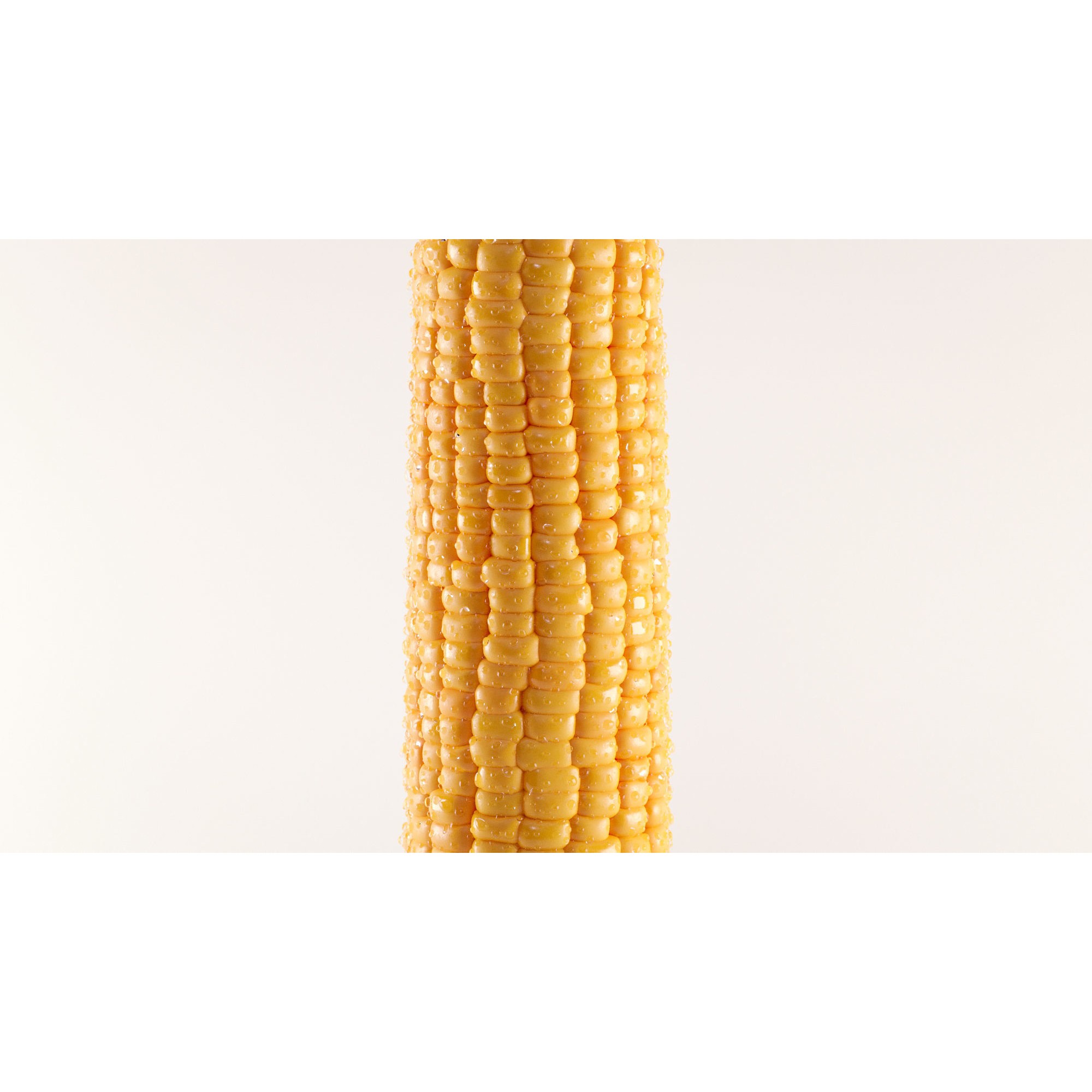 Photorealistic Corn - Game-Ready 3D Model - View 7