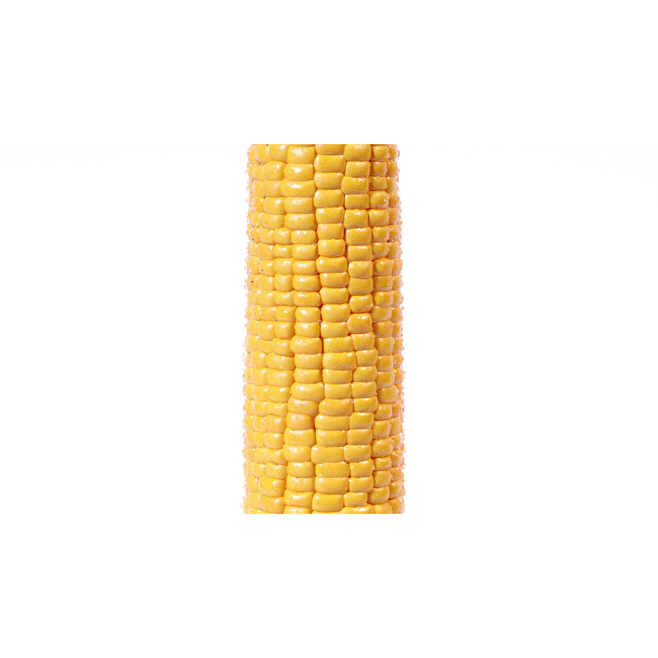 Photorealistic Corn - Game-Ready 3D Model - View 8